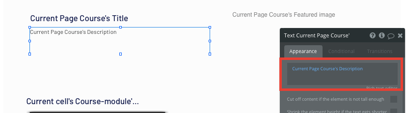 Displaying dynamic content of a course in Bubble’s no-code Udemy clone MVP