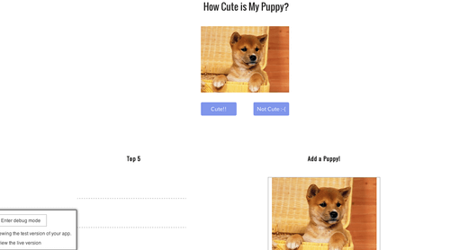 Example of uploading image feature for puppy app.