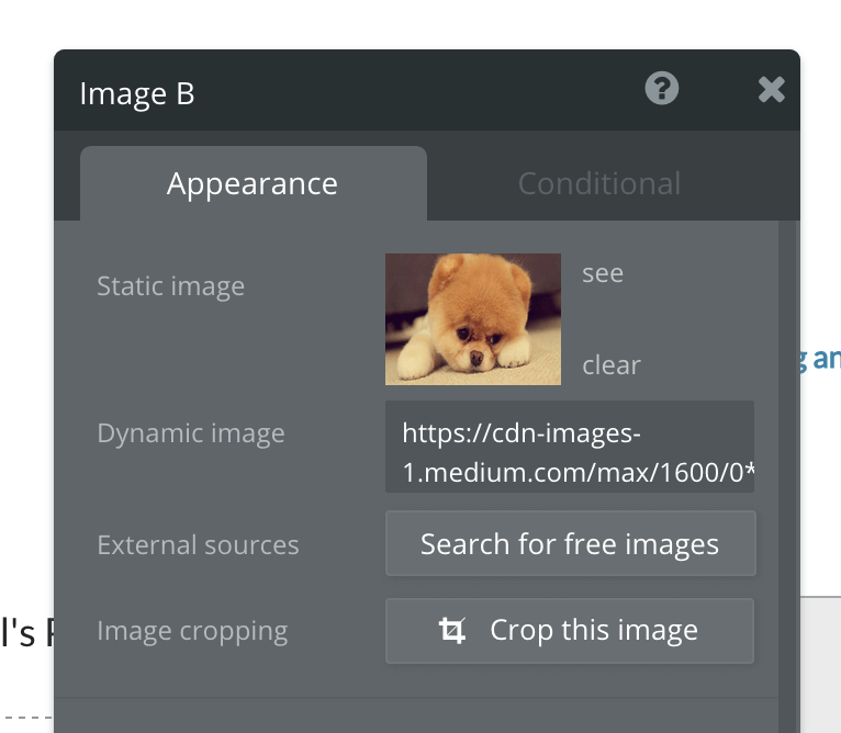 Image settings in Bubble creator - appearance and conditional inputs.