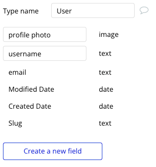 User data type and associated fields