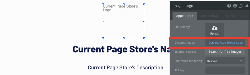 Displaying dynamic page data for a no-code Shopify store