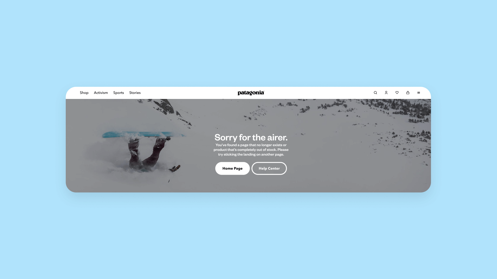 A screenshot of Patagonia's error page.