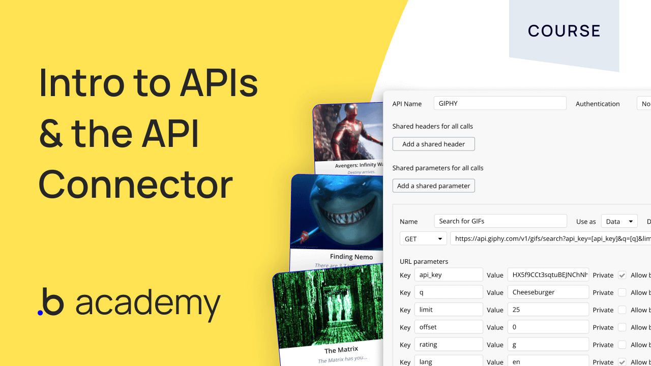 How to Use APIs in a Web Application